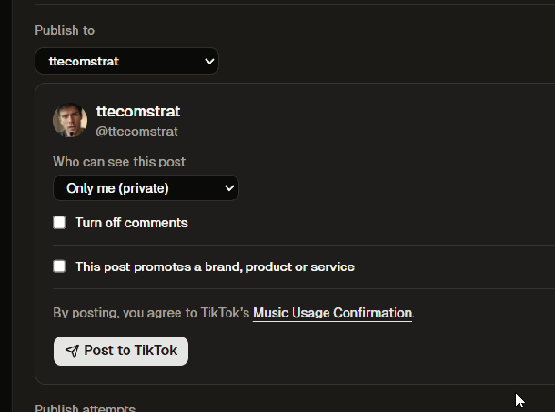 The Paroot publish panel, with an account picker, an audience setting and a Post to TikTok button.